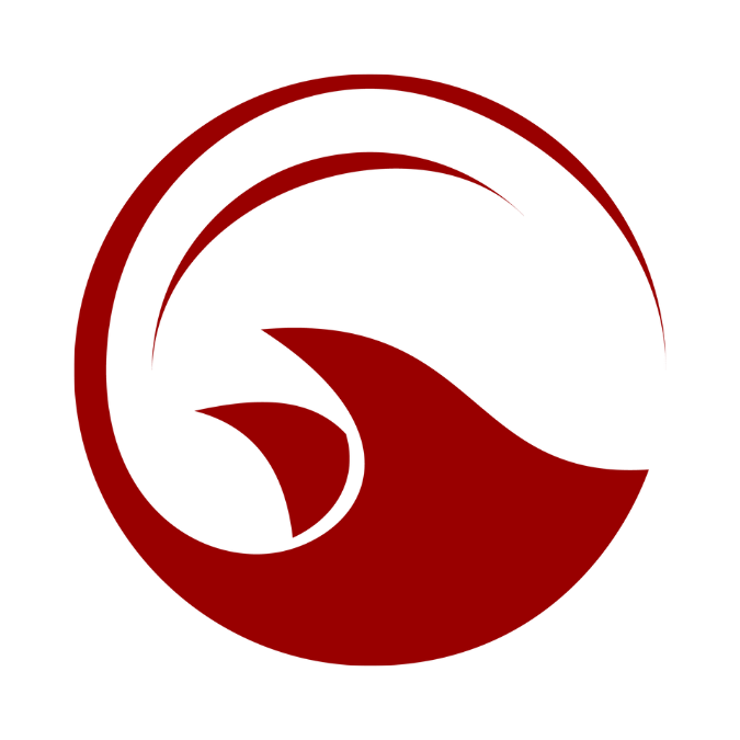 Partner 2 Logo